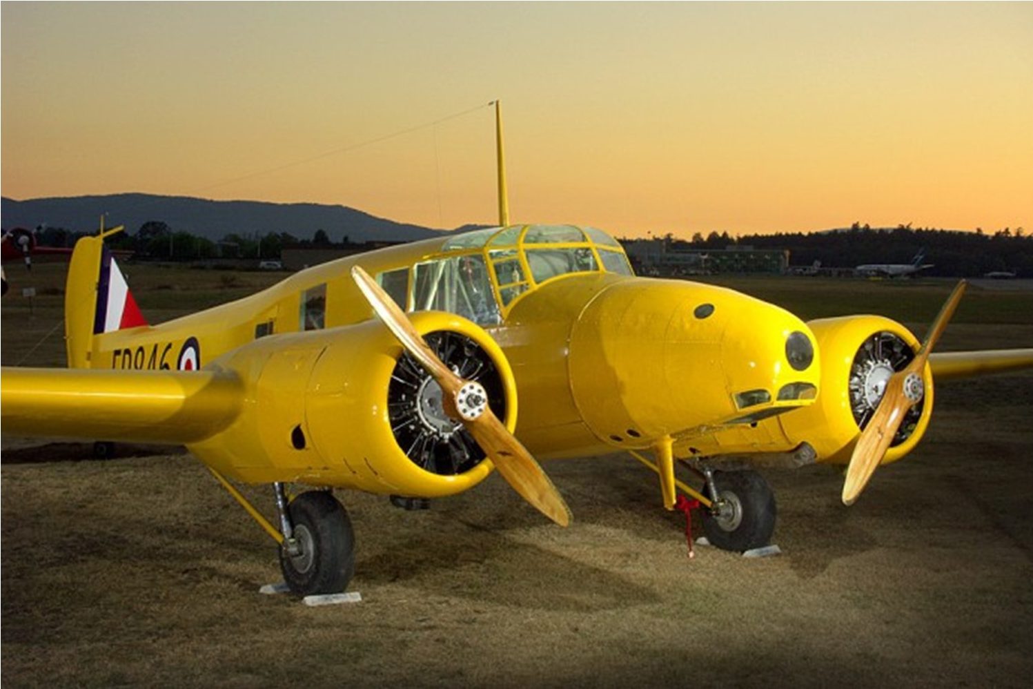 Anson
